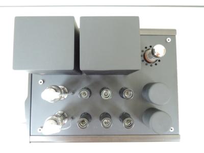 Line Magnetic/ZAP 310A(真空管アンプ)の新品/中古販売 | 1053676