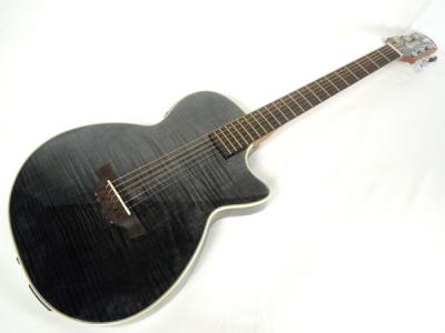 クラフター CT-120(アコースティックギター)の新品/中古販売 | 436879