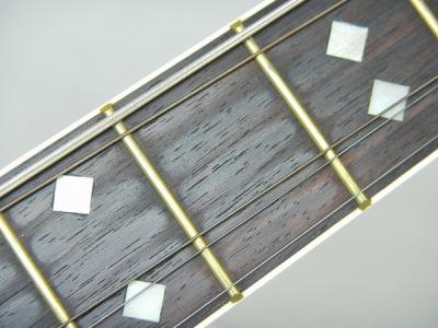 Century CA-2057(アコースティックギター)の新品/中古販売 | 1056878