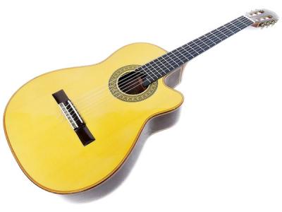 Giannini GWNCPP 2006(フォークギター)の新品/中古販売 | 1060187