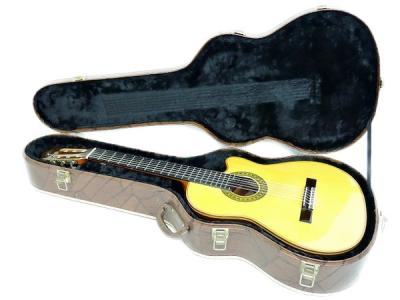 Giannini GWNCPP 2006(フォークギター)の新品/中古販売 | 1060187