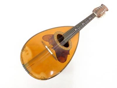 状態良好 SUZUKI VIOLIN M-230 スズキ マンドリン 経年美品 SUZUKI M-230(マンドリン)の新品/中古販売 | 1053972 | ReRe[リリ]