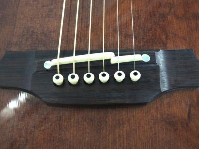 takamine エレアコ　ギター　PT508 TAKAMINE PT-508|ドルフィンギターズ