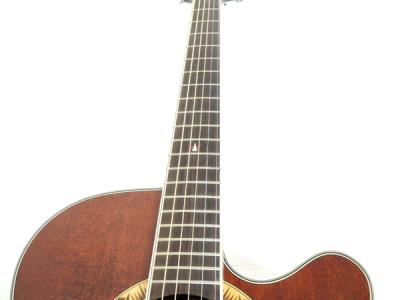 takamine エレアコ　ギター　PT508 m92519618112_1.jpg?1711764943