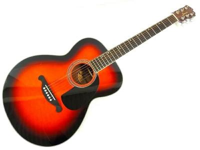 JAMES JF350WB アコースティック ギター ケース付 楽器 アコギの新品