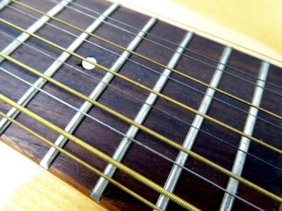 音音 OTO-OTO エレアコ ギター OT-3E 12弦の新品/中古販売 | 1102603