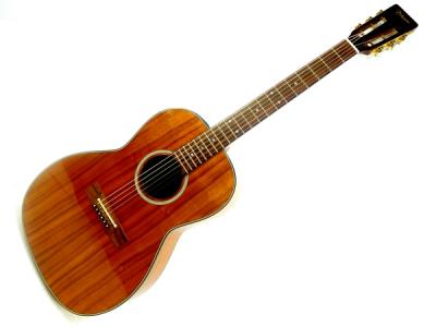 タカミネ エレアコ ギター PTU408K N ケース 付 CD・DVD・楽器 楽器