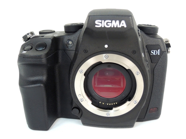 レンズクリーニング済　SIGMA SD1 Merrill シグマ