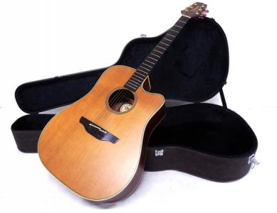 takamine en-10c エレアコ ギター ハードケース 付 楽器の新品