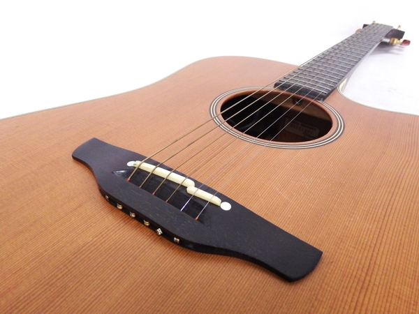 takamine en-10c エレアコ ギター ハードケース 付 楽器-