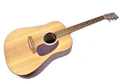 MARTIN D-1 アコースティック ギター