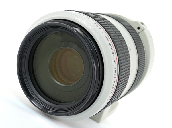 Canon EF 70-300mm F4-5.6 L IS USM 望遠 レンズ-