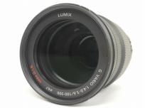 LUMIX G VARIO 1:4.0-5.6/100-300 MEGA OIS カメラ・光学機器 レンズ