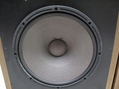 モモンサ　Fostex　MW401　40cmウーハー使用　スーパーウーハー Amazon.co.jp: FOSTEX 8cm ウーハー PW80K(P) ペア : 楽器・音響機器