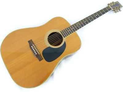 人気色 アコースティックギター JUMBO J-50 - アコースティックギター