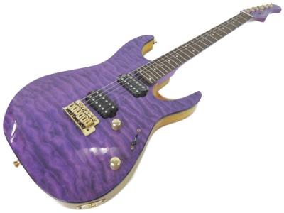 Bacchus HGD-CUSTOM24(ギター本体)の新品/中古販売 | 1150481