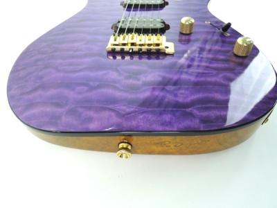 Bacchus HGD-CUSTOM24(ギター本体)の新品/中古販売 | 1150481
