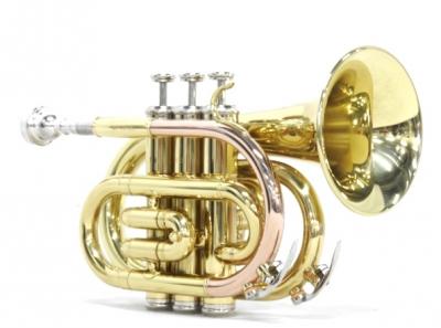 ポケットトランペット MPT250L minerva - 管楽器、笛、ハーモニカ