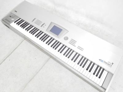 KORG TRINITY PRO X