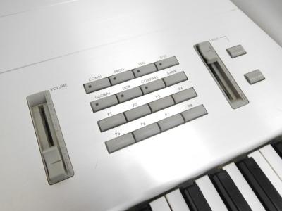 限定お買い得商品 TRINITY KORG PRO 楽器の新品/中古販売 鍵盤 シンセサイザー X 鍵盤楽器