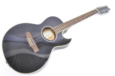 Washburn EA20MB-12 12弦ギター