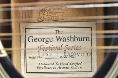 Washburn EA20MB-12 12弦ギター