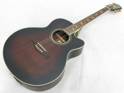 Ibanez AEL42SE RDV 1201(アコースティックギター)の新品/中古販売 | 1189268 | ReRe[リリ]