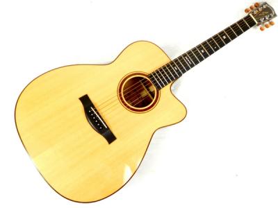 ヘッドウェイ アコギ HC-525 アコースティック ギター ハード ケース 付