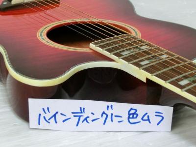 オイルペイント ESP × Paul Smith アコースティックギター エレキ