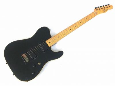 コンポーネントテレキャスター コンポーネント テレキャスター シェイプ SCHECTERネック