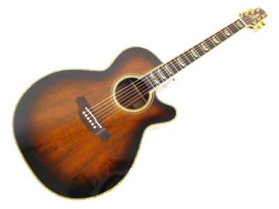Takamine DSP500 VTS(アコースティックギター)の新品/中古販売