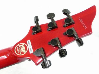 ESP Custom Shop Forest-GT フォレスト エレキギター イーエスピー