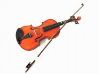 Gliga Gems 4/4 バイオリン ハードケース 弓 付 セット