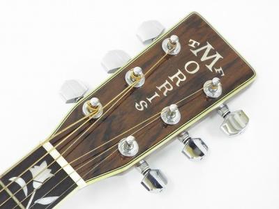 Morris アコースティックギター LF-5 morris LF-5(アコースティックギター)の新品/中古販売 | 1236179