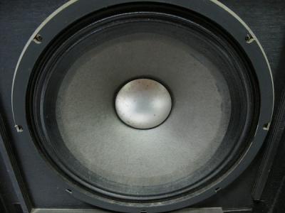 Roland SR-120DS 8Ω スピーカー キャビネット 200W 15inch 直の