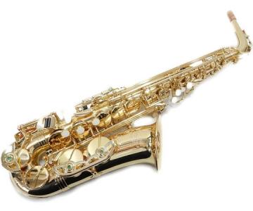 THE MARCATO AL100GL(アルトサックス)の新品/中古販売 | 1242896