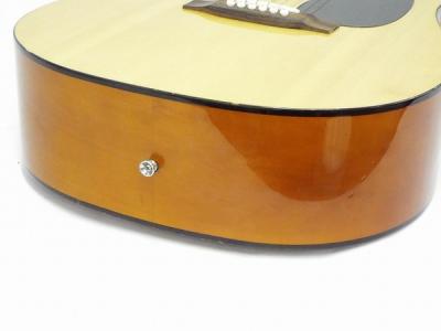 PLAYTECH D-4 NAT アコギ Play Tech プレイテック アコースティック ギター D-4 NAT 本体