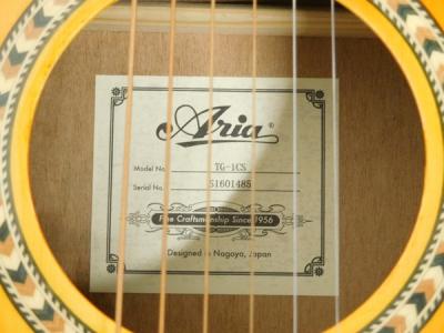 Aria TG―1CS(アコースティックギター)の新品/中古販売 | 1248029 