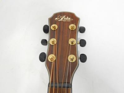 Aria TG―1CS(アコースティックギター)の新品/中古販売 | 1248029