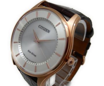 citizen e031