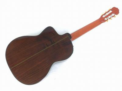 Takamine エレガット DMP316 ハードケース付の新品/中古販売 | 1259055 