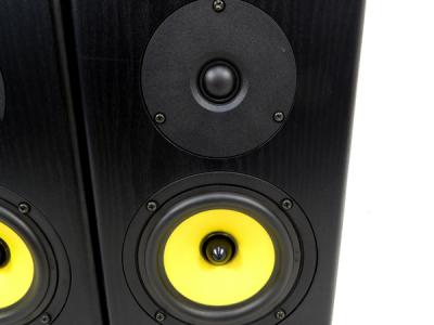TRIODE TR-SP1(スピーカー)の新品/中古販売 | 1260655 | ReRe[リリ]