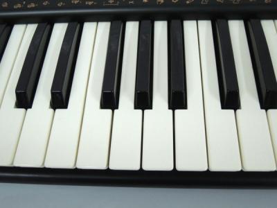 Technics SX-KN1000(キーボード、シンセサイザー)の新品/中古