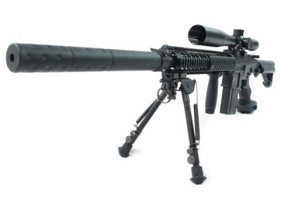 SR25 本体とスコープのセット　最終価格　早い者勝ち Yahoo!オークション -「SR-25」の落札相場・落札価格
