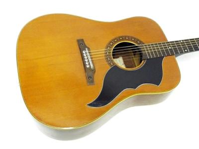 EKO J-54 (ギター)の新品/中古販売 | 1300204 | ReRe[リリ]