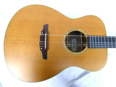 ヤマハ FP-300MN(ギター)の新品/中古販売 | 1301001 | ReRe[リリ]