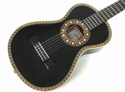 ARIA A19C-200S NA オール単板 19世紀ギター パーラーギター ARIA A19C-200S NA オール単板 19世紀ギター パーラーギター