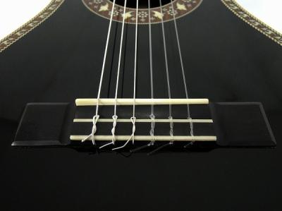 ARIA アリア 19世紀風 パーラーギター A19C-200NBK ナイロン弦