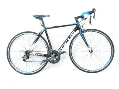 FOCUS CAYO AL 2016 Sサイズ52cm 105