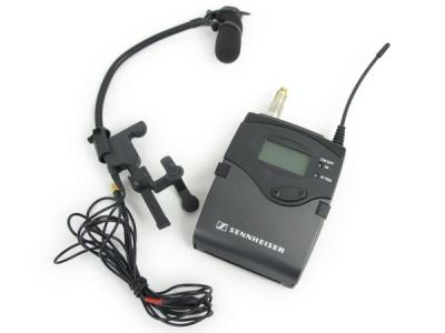 SENNHEISER ( 挑める ゼンハイザー ) / EW112-P G3